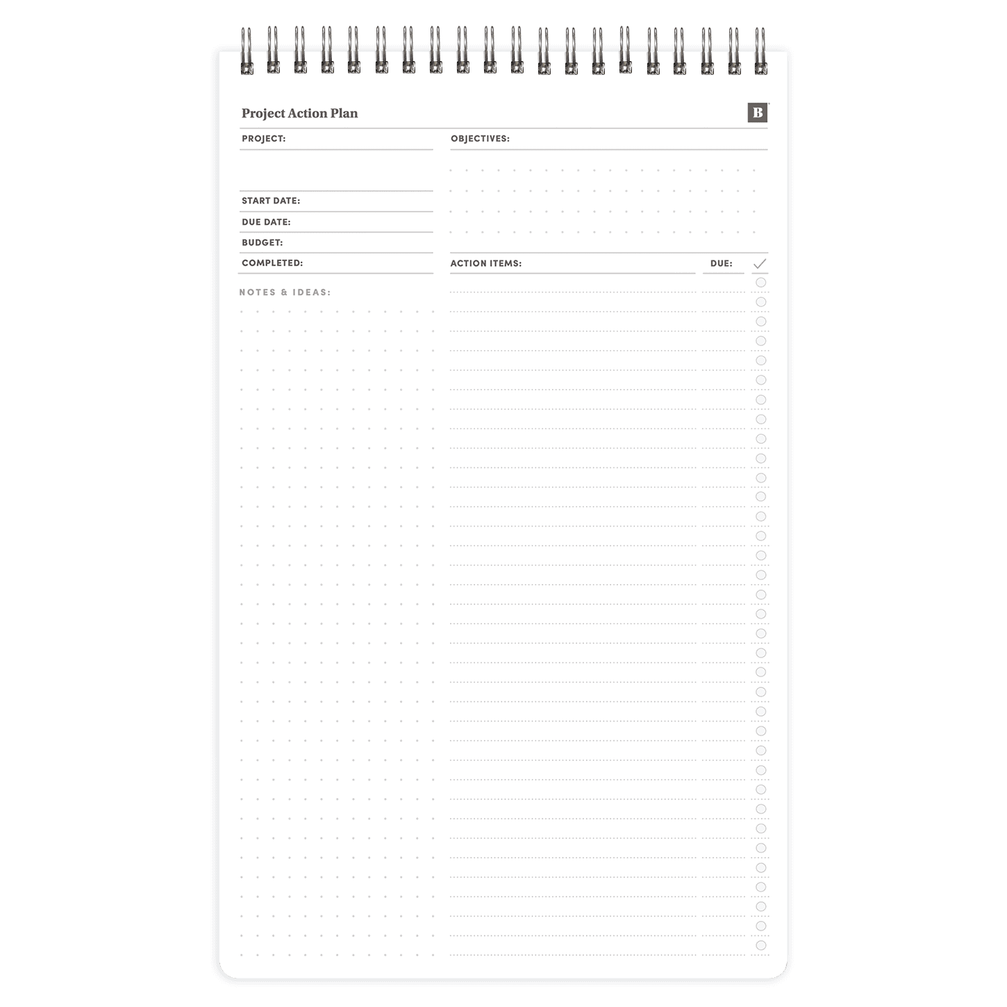 Project Layout