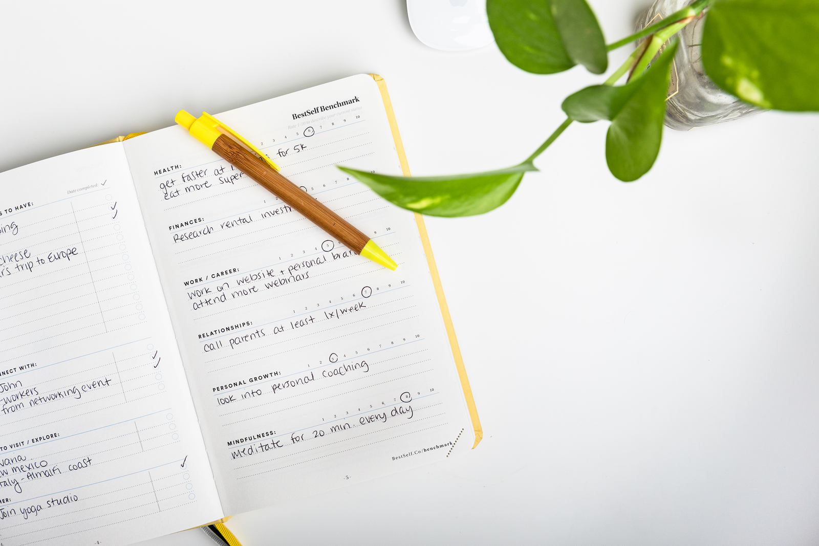 Boosting Development with an Individual Planner