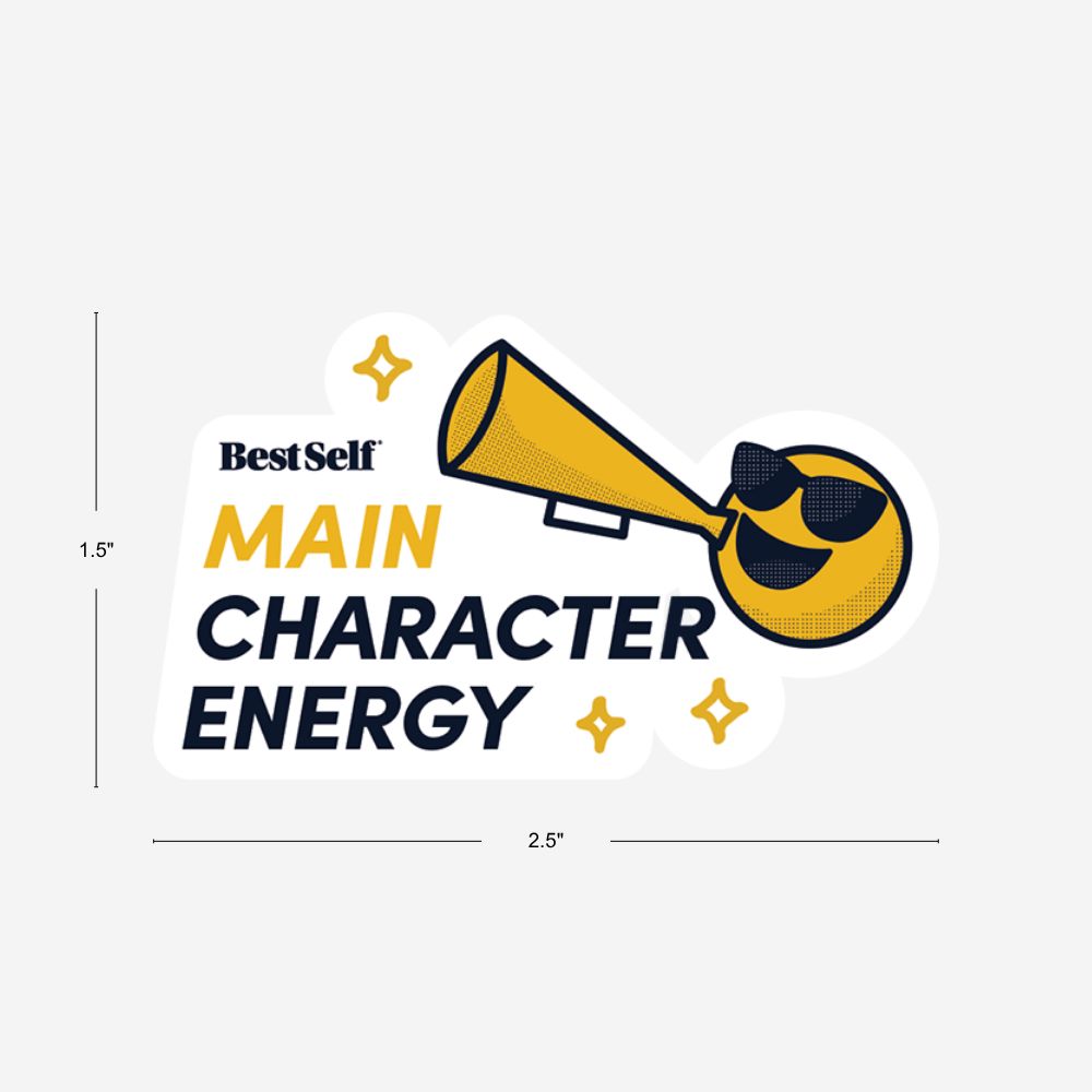 BestSelf Motivational Stickers Gift BestSelf Co.