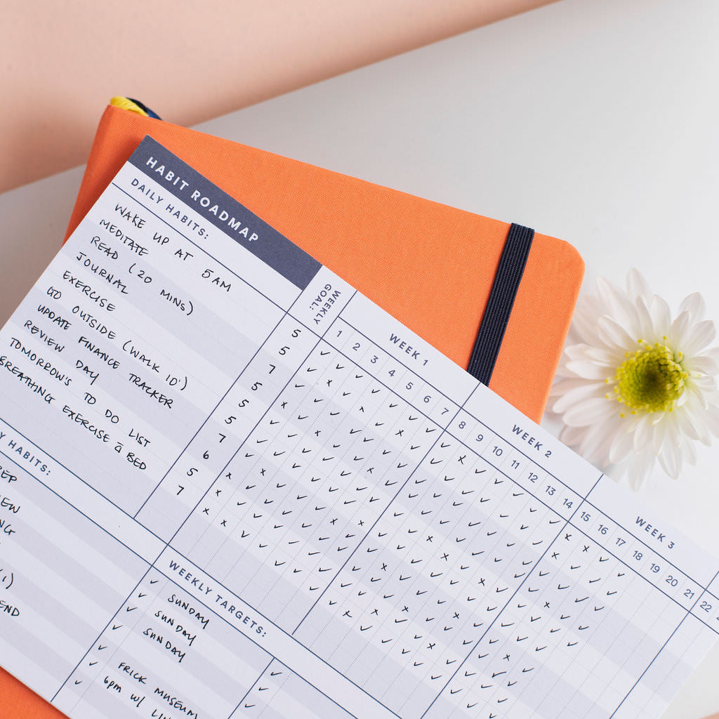 Daily routine checklist in habit roadmap