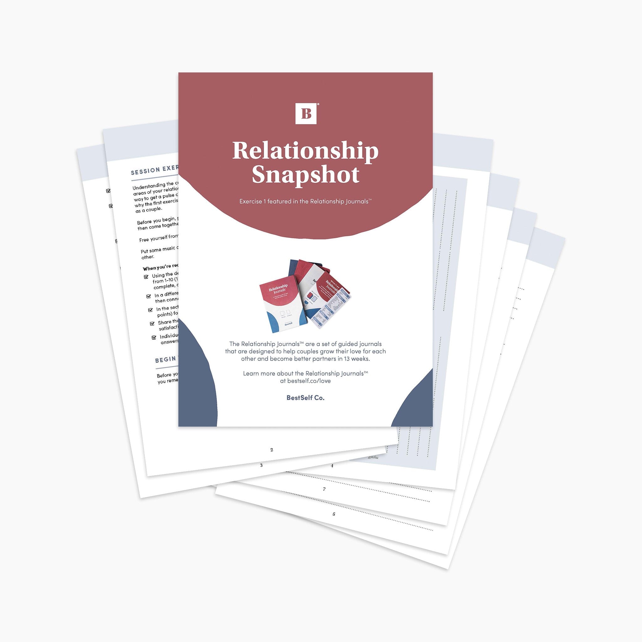 Relationship Snapshot Exercise (Digital Download) Digital Download Romantic Connection